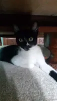 Bia