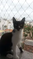 Bia