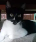 Bia