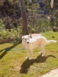 Zeus
