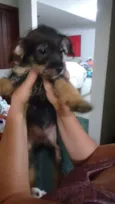 Valentina