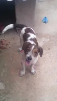 Ralf