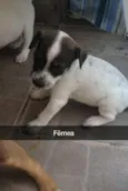 Sem nome