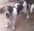 Ralf