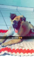 bolinha