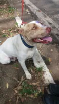 pit