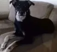 Cyndi