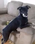 Cyndi