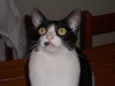 Marrye