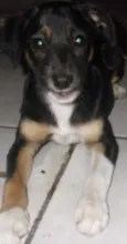 BIA