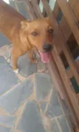 San