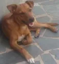 San
