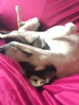 Sam 