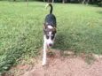 Sam