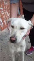 Não tem