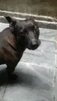 negão