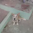 whait