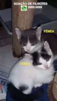 Sem nomea=