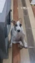 Fiona