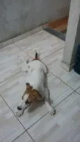 Fiona
