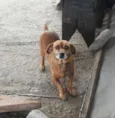 Billy 