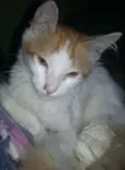 Nao sei