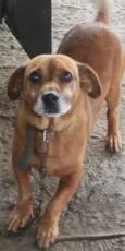 Billy