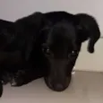 Charles