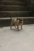 Miguel