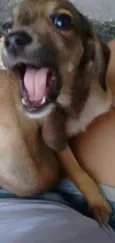 Miguel