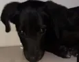 Charles