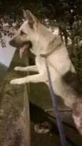 Jumper