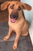 Mel