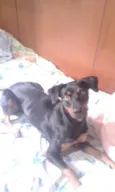 Croaçã