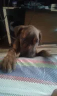 Nina