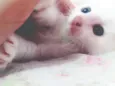 MINGAU