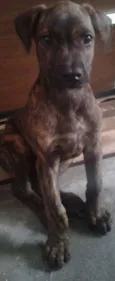 Nina