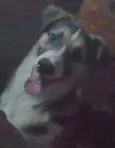 Jonh
