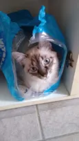 Julieta