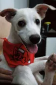Jake