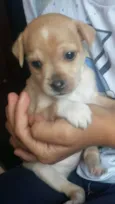 nao tem 