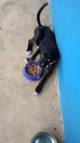 Teka