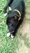 Teka
