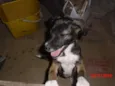 BELINHA