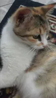 Princesa