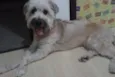 Marley