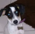 SNOOP