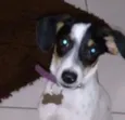 SNOOP