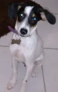 SNOOP