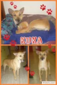 KUKA